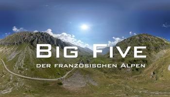 big-five-videobild.jpg